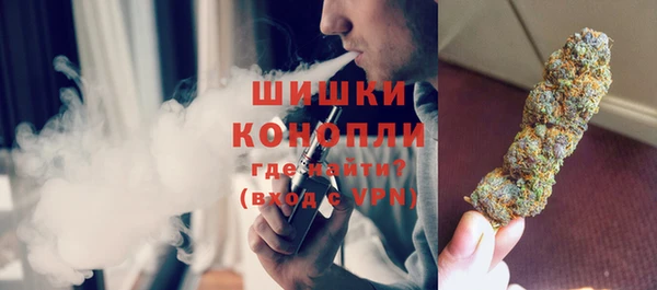 индика Волосово