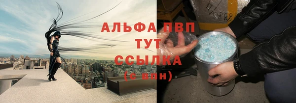 индика Волосово