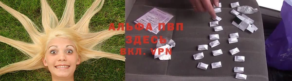 индика Волосово