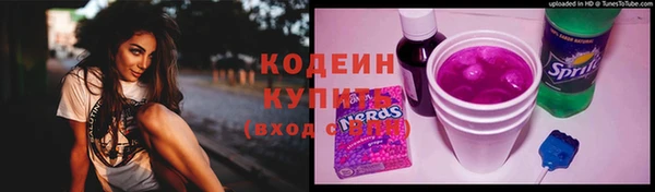 индика Волосово