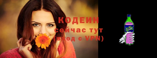 индика Волосово