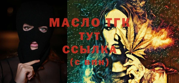 индика Волосово