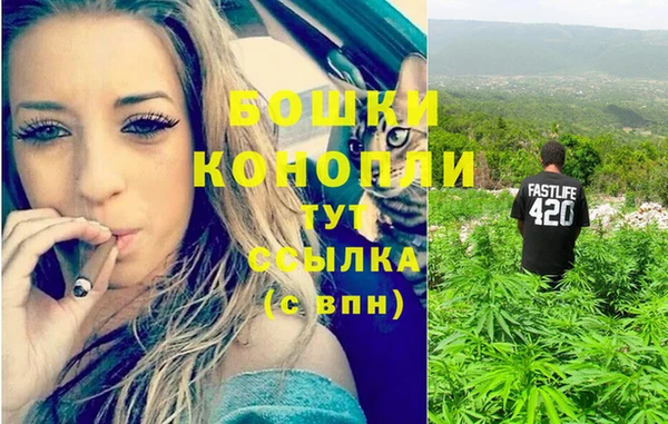 индика Волосово