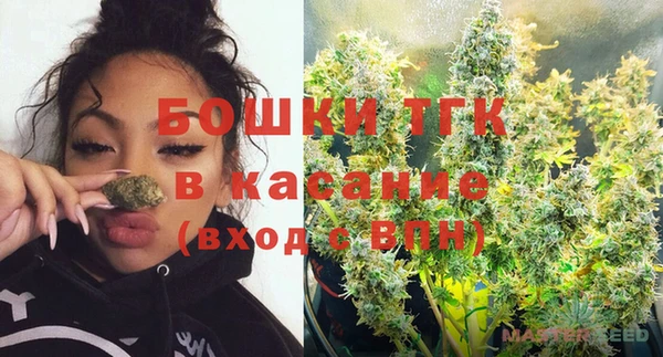 индика Волосово