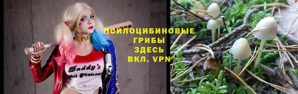не бодяженный Волоколамск