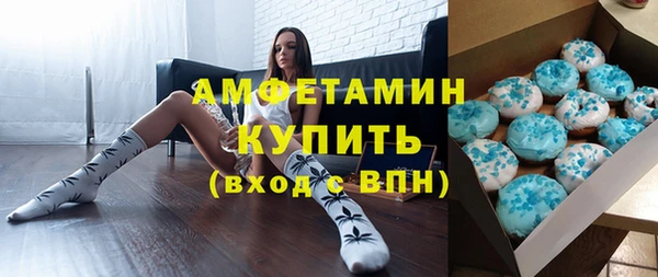 молекула духа Вяземский