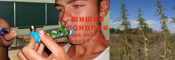 не бодяженный Волоколамск