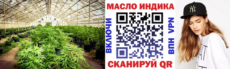 Купить закладки  Белая Холуница  Дистиллят ТГК вейп 