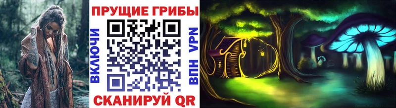 Галлюциногенные грибы Psilocybine cubensis Белая Холуница