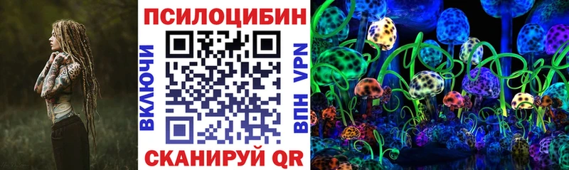 Псилоцибиновые грибы Psilocybe  Купить закладки  Белая Холуница 
