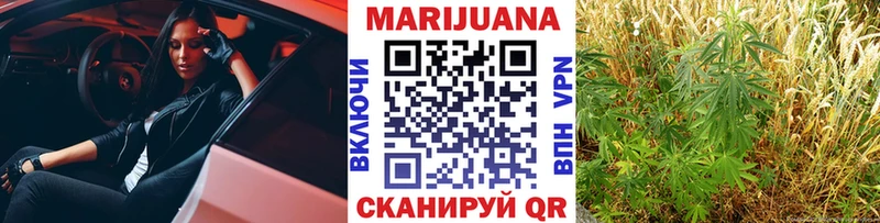 Конопля Bruce Banner  Купить закладки  Белая Холуница 